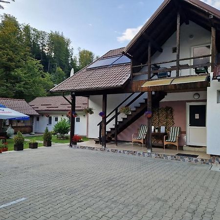 Hotel Casa Popa'S Cîrţişoara Exterior foto