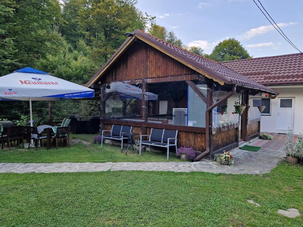 Hotel Casa Popa'S Cîrţişoara Exterior foto