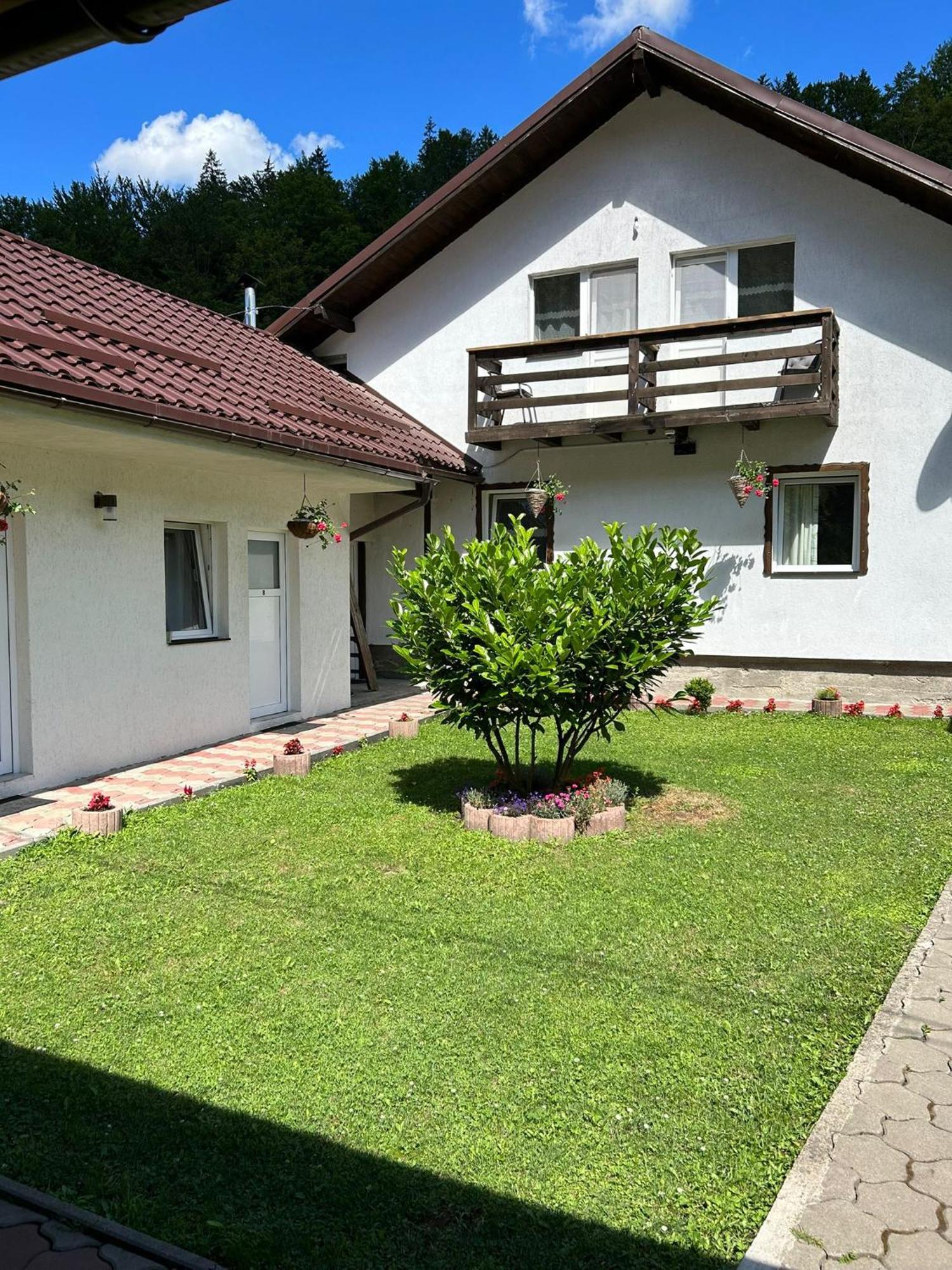 Hotel Casa Popa'S Cîrţişoara Exterior foto