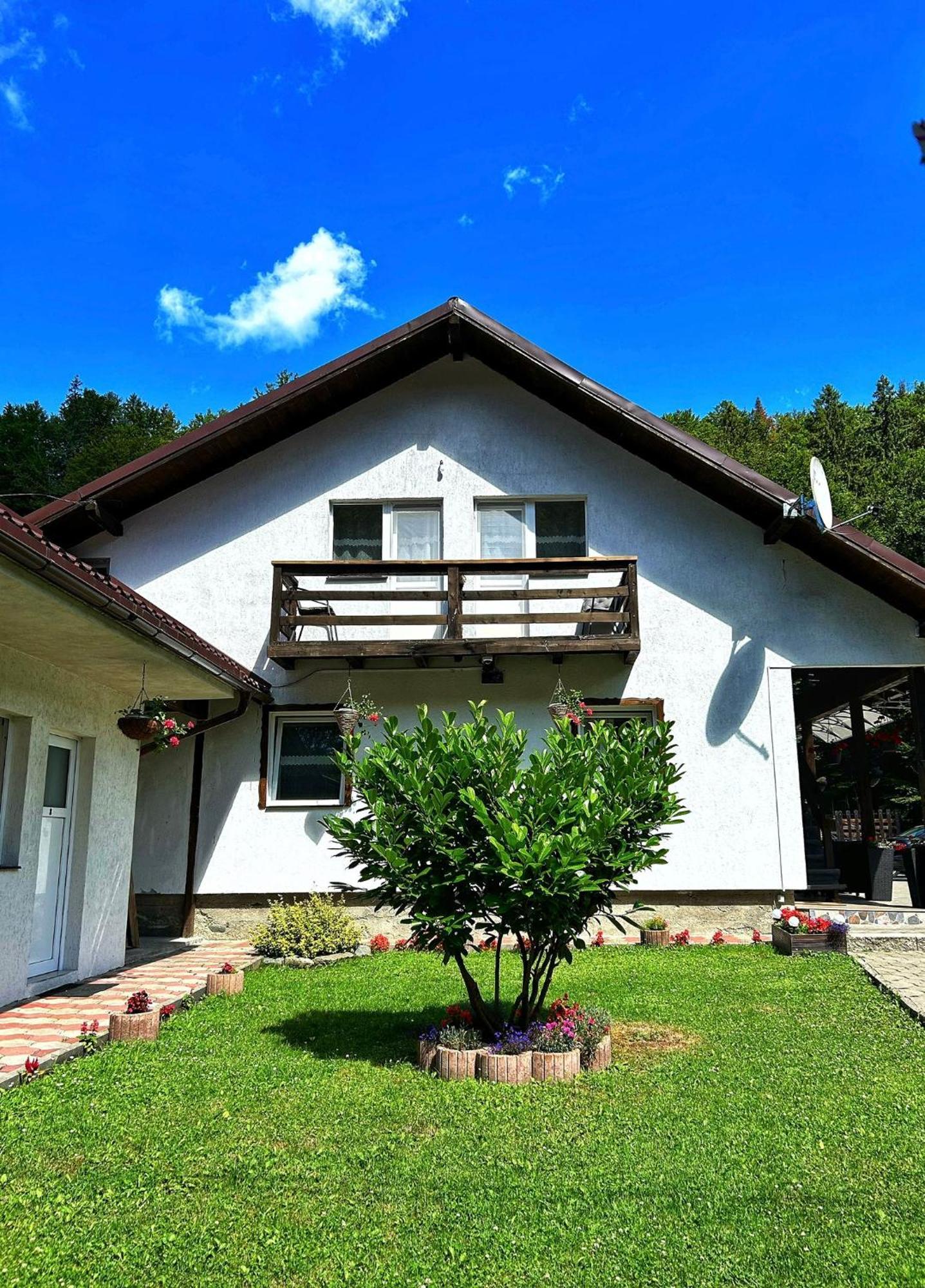 Hotel Casa Popa'S Cîrţişoara Exterior foto